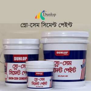 DUNLOP CEMENT PAINT